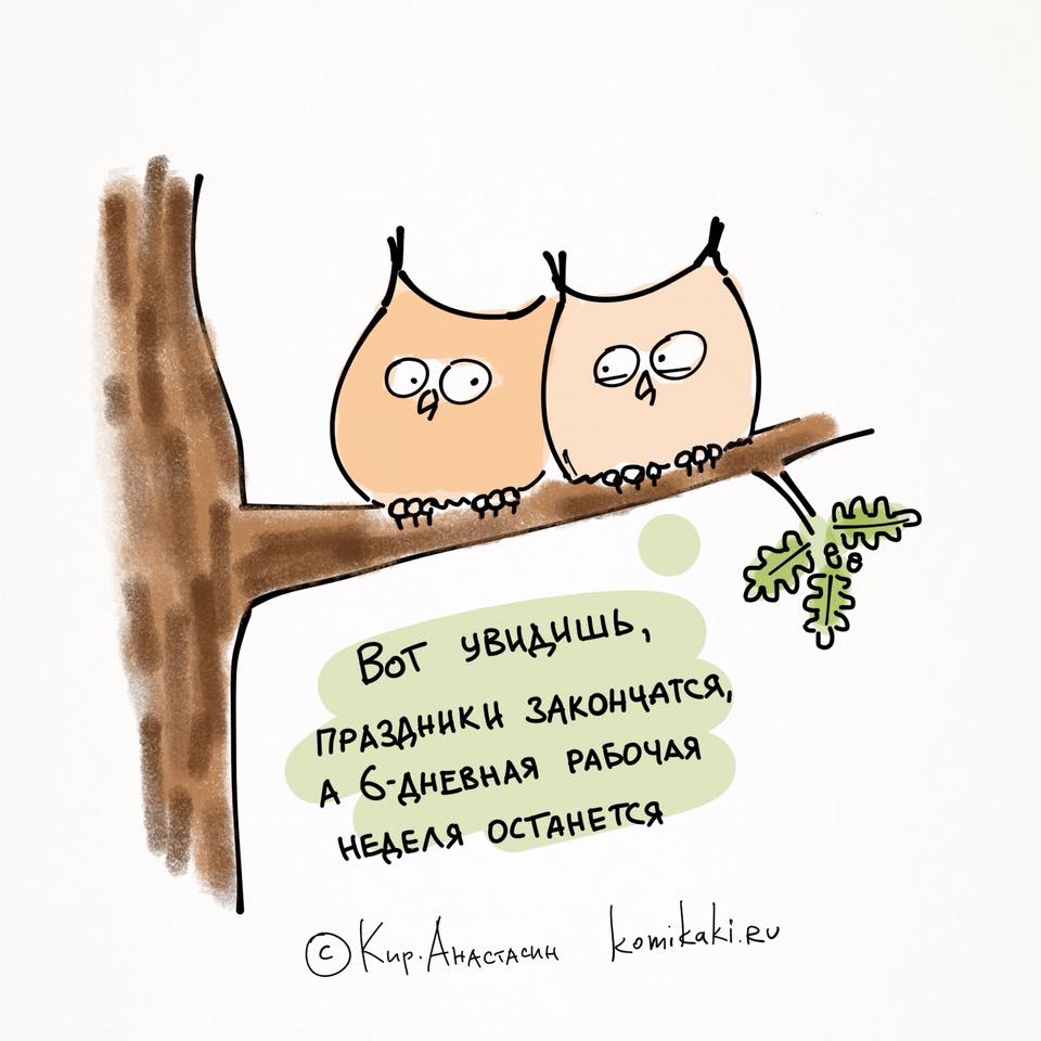 960x960, 62 Kb / совы, шестидневка, праздники, Кирилл Анастасин