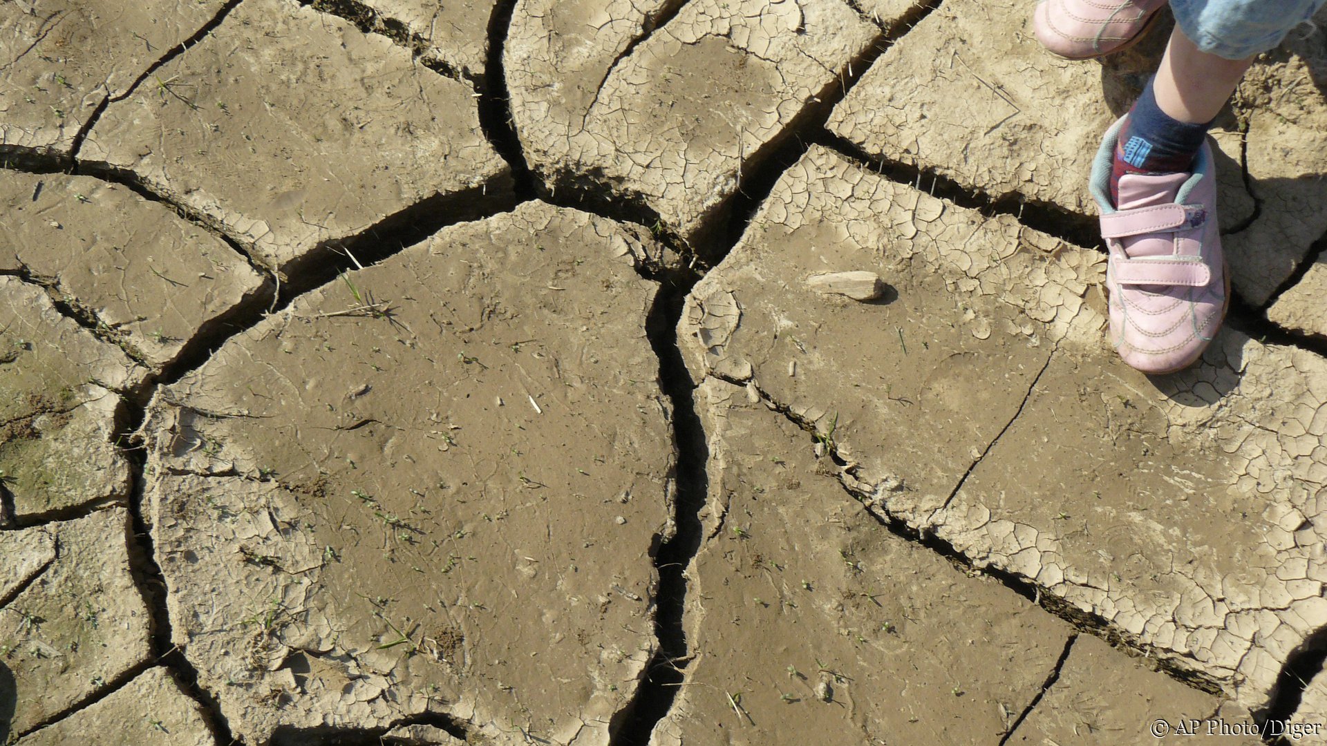 1920x1080, 530 Kb / засуха