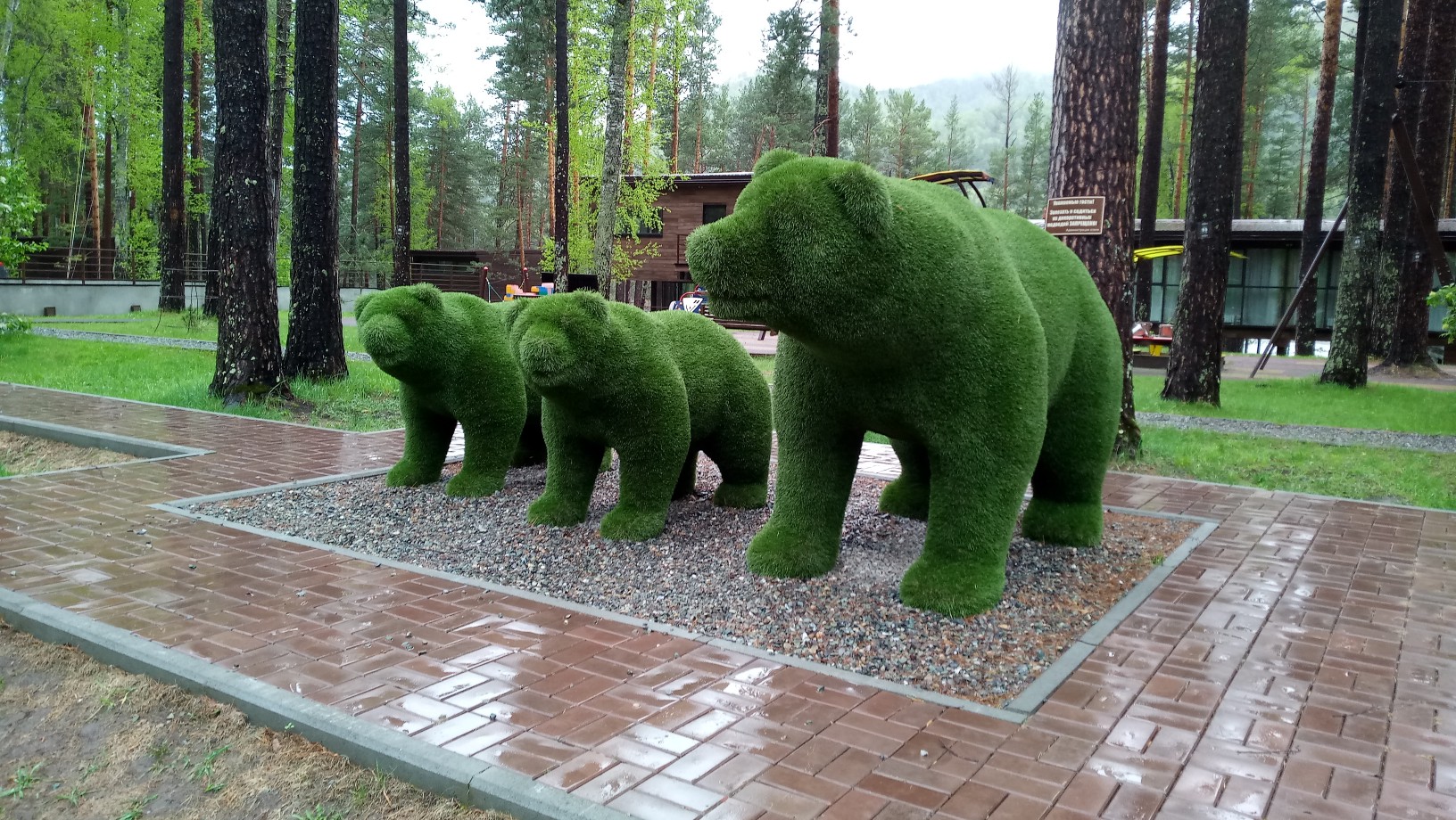 1632x920, 578 Kb / Алтай, горный, Алтика, медведь, медведи, мишки