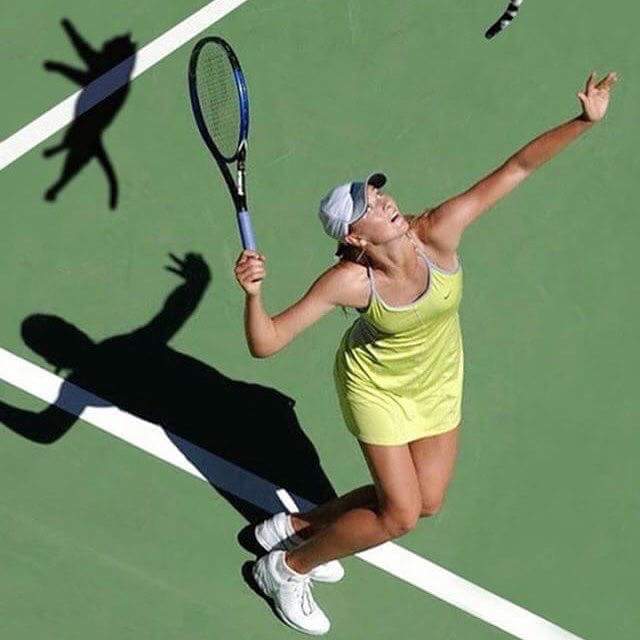 640x640, 30 Kb / Шарапова, теннис, кот