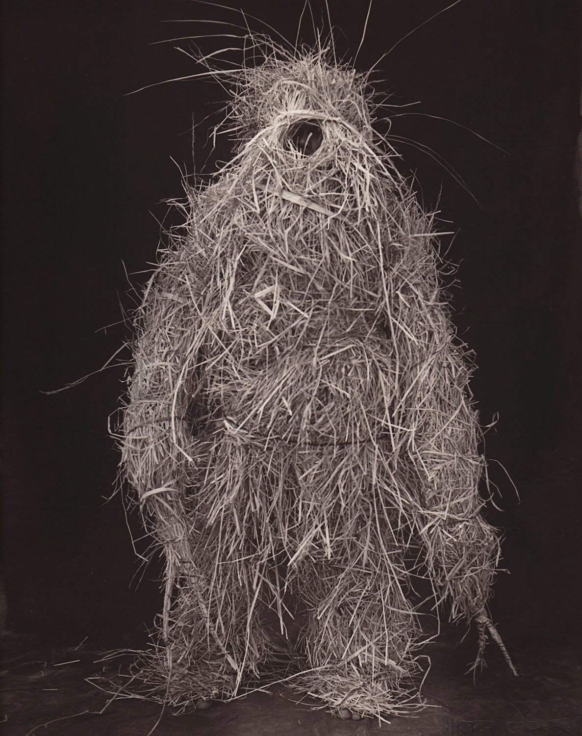 1187x1500, 355 Kb / сено, человек, костюм