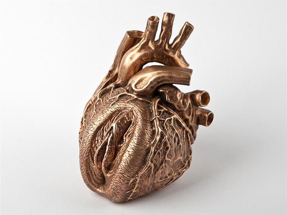 975x732, 92 Kb / сердце, вагина, бронза