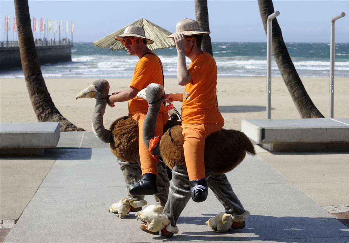 1200x836, 112 Kb / пляж, двое, шляпа, очки, костюмы, страус, пальмы, зонт