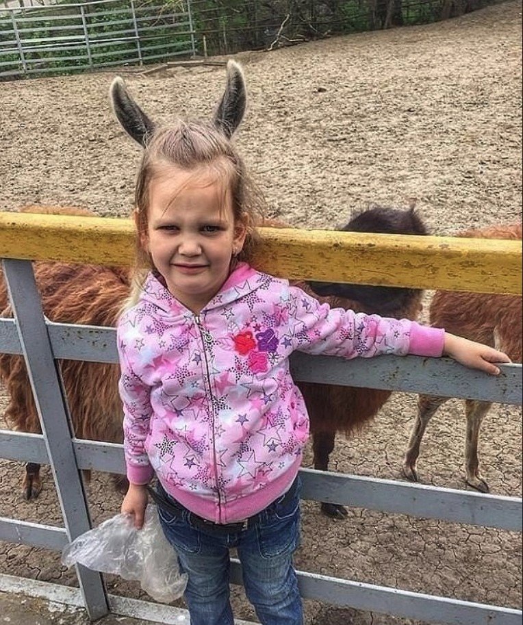 764x913, 212 Kb / девочка, лама, уши