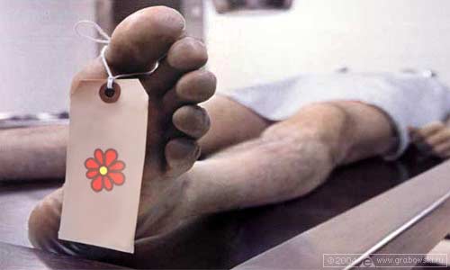 500x300, 13 Kb / труп, ICQ, отключен