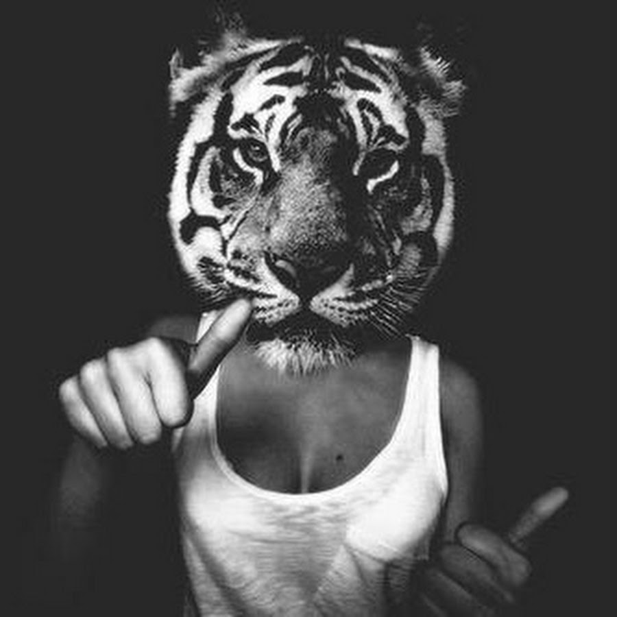 900x900, 65 Kb / девка, майка, тигр, ч/б