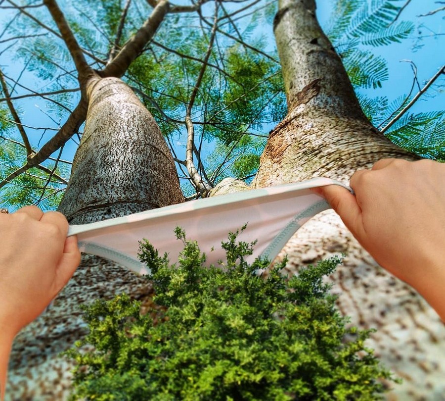 900x810, 245 Kb / трусы, деревья, мох