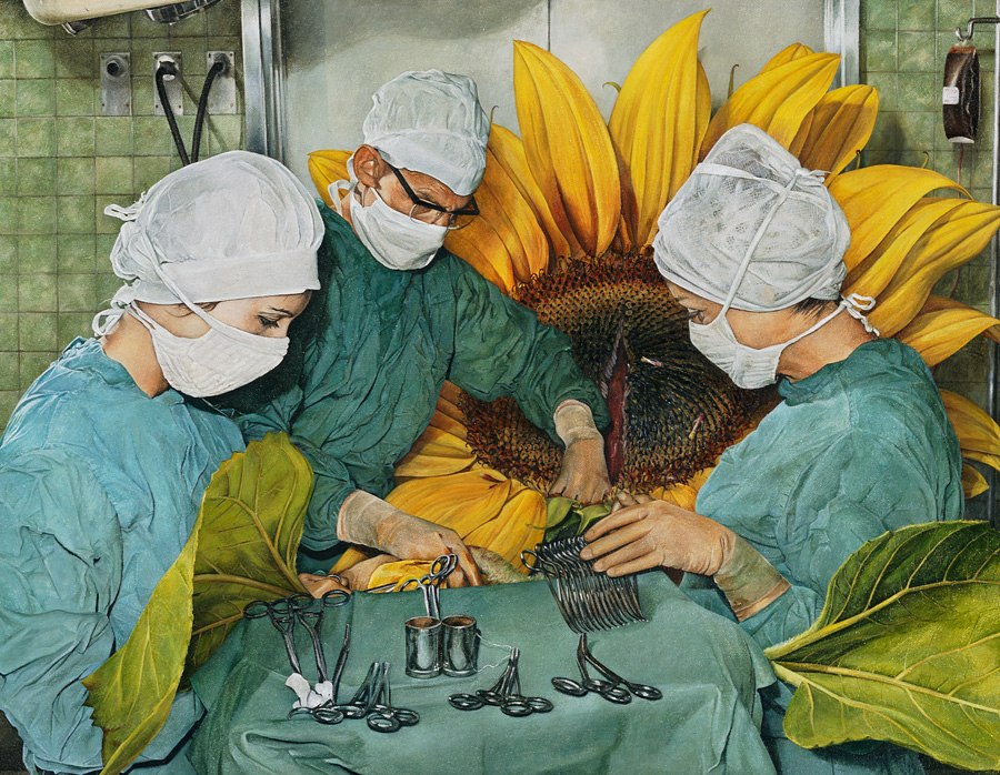 900x698, 202 Kb / хирурги, операция, подсолнух