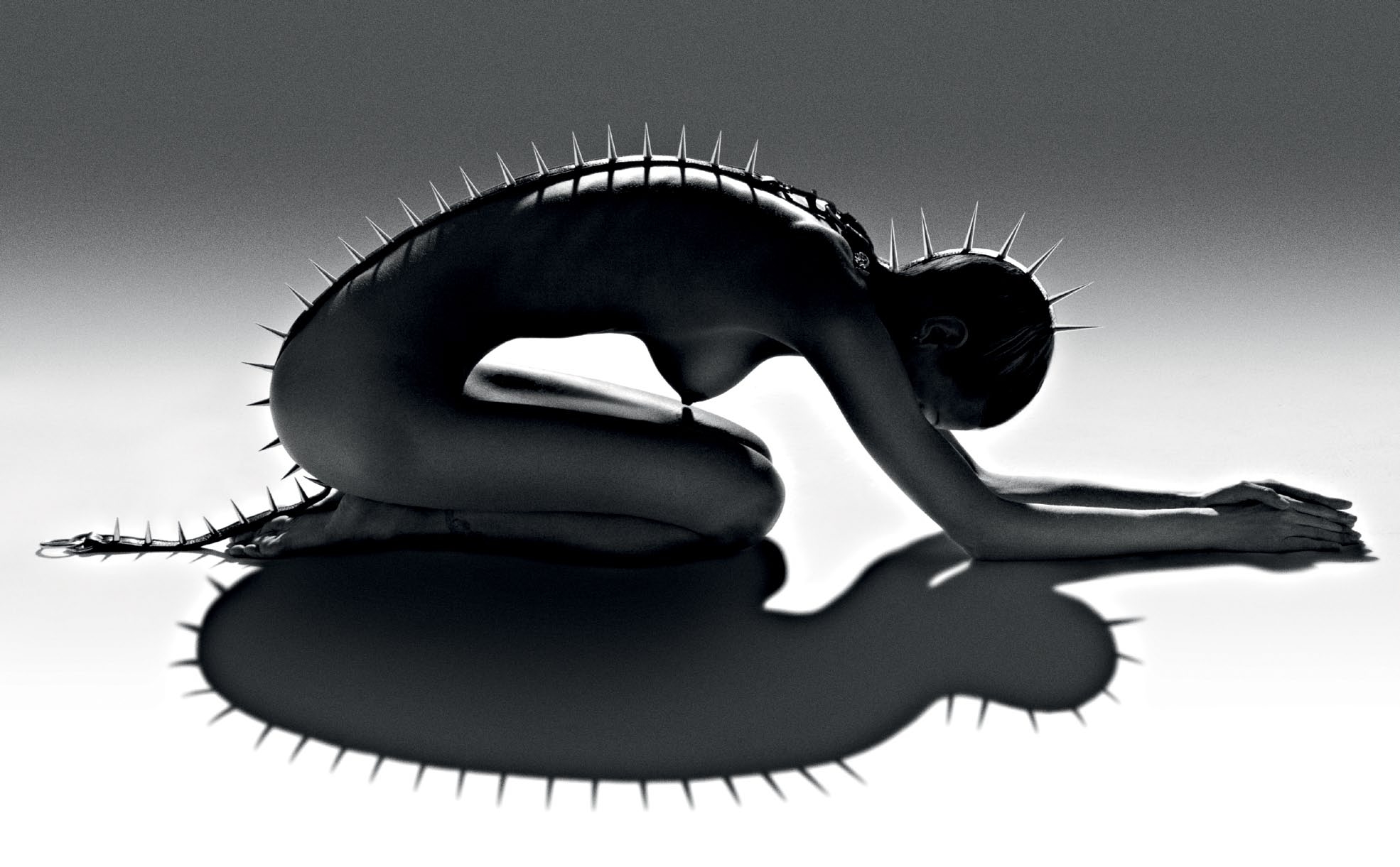 1970x1221, 553 Kb / женщина, шипы, тень, ч/б