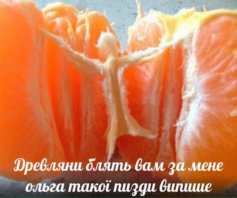 774x649, 70 Kb / древляне, апельсин, ольга, мандарин