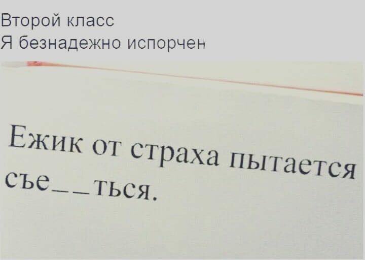 720x512, 21 Kb / второй класс, ежик, страх