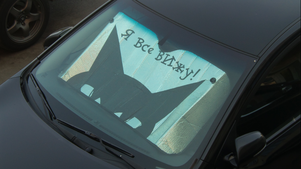 960x540, 603 Kb / Я все вижу, кошка, лобовое стекло