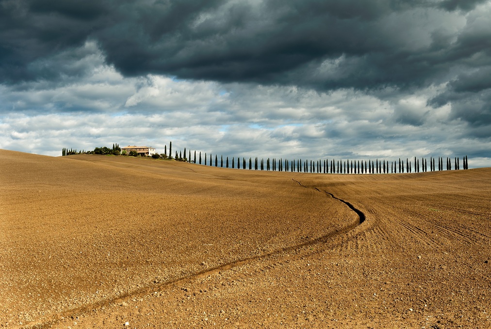 1012x680, 378 Kb / земля, небо, дом, деревья