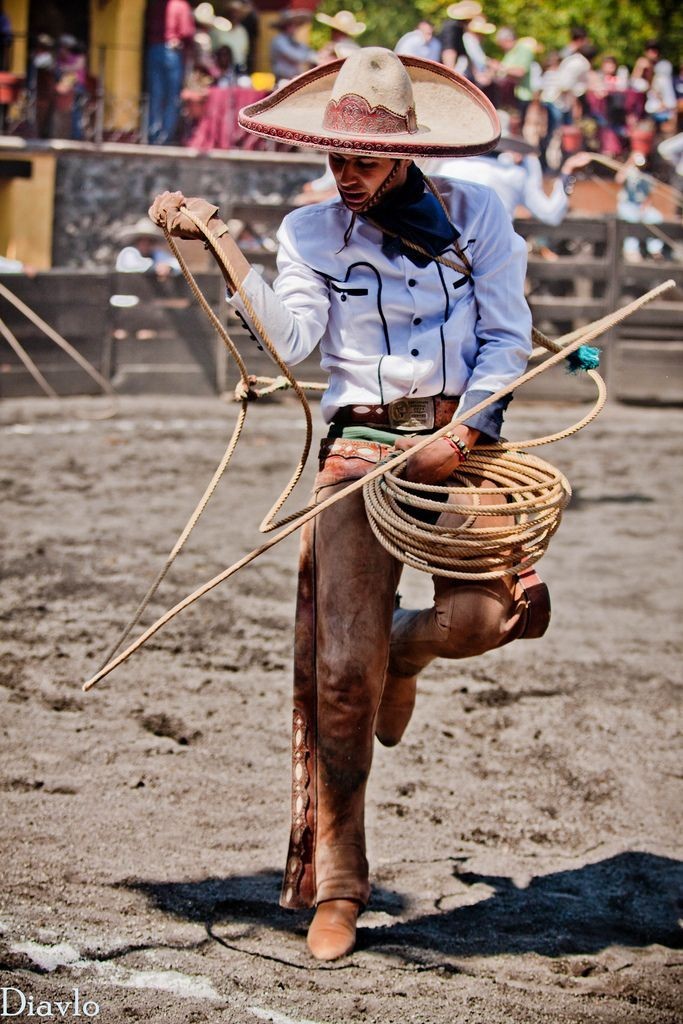 683x1024, 166 Kb / ковбой, лассо, шляпа, загон