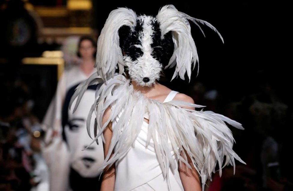 976x638, 103 Kb / мода, собачка, перья, Париж