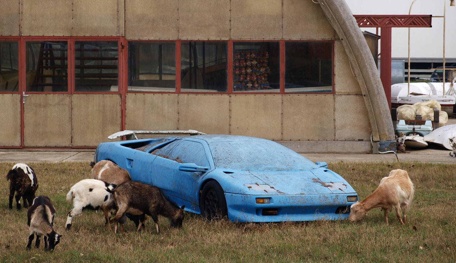 1520x876, 557 Kb / ламборгини, козы