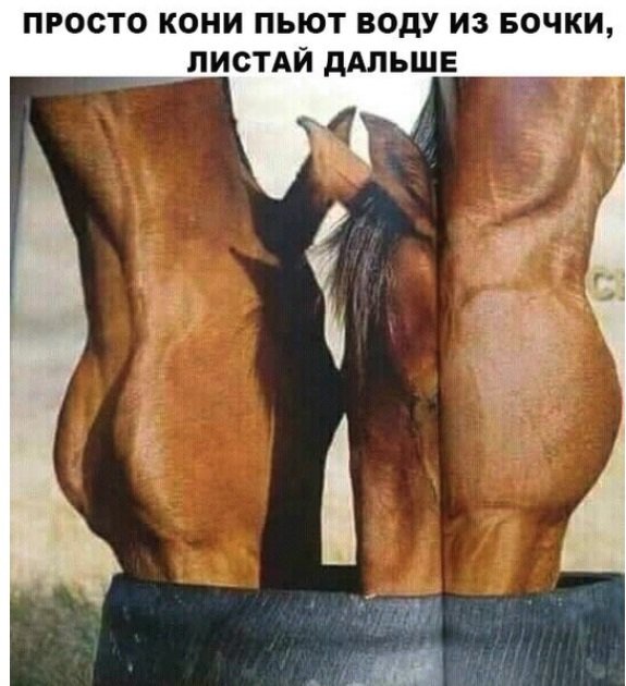 575x630, 60 Kb / кони, бочка, вода, иллюзия, показалось