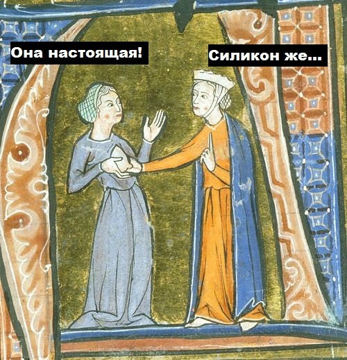 500x519, 87 Kb / средневековье, силикон