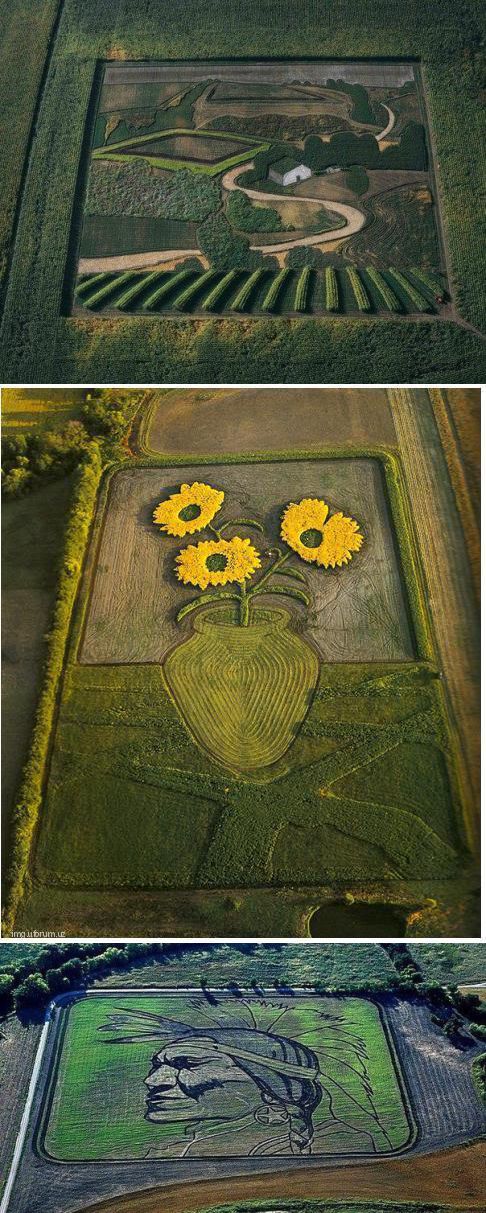 486x1213, 173 Kb / поле, картины, подсолнухи, ван гог