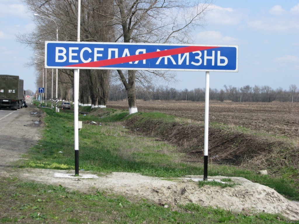 1024x768, 293 Kb / Весёлая жизнь