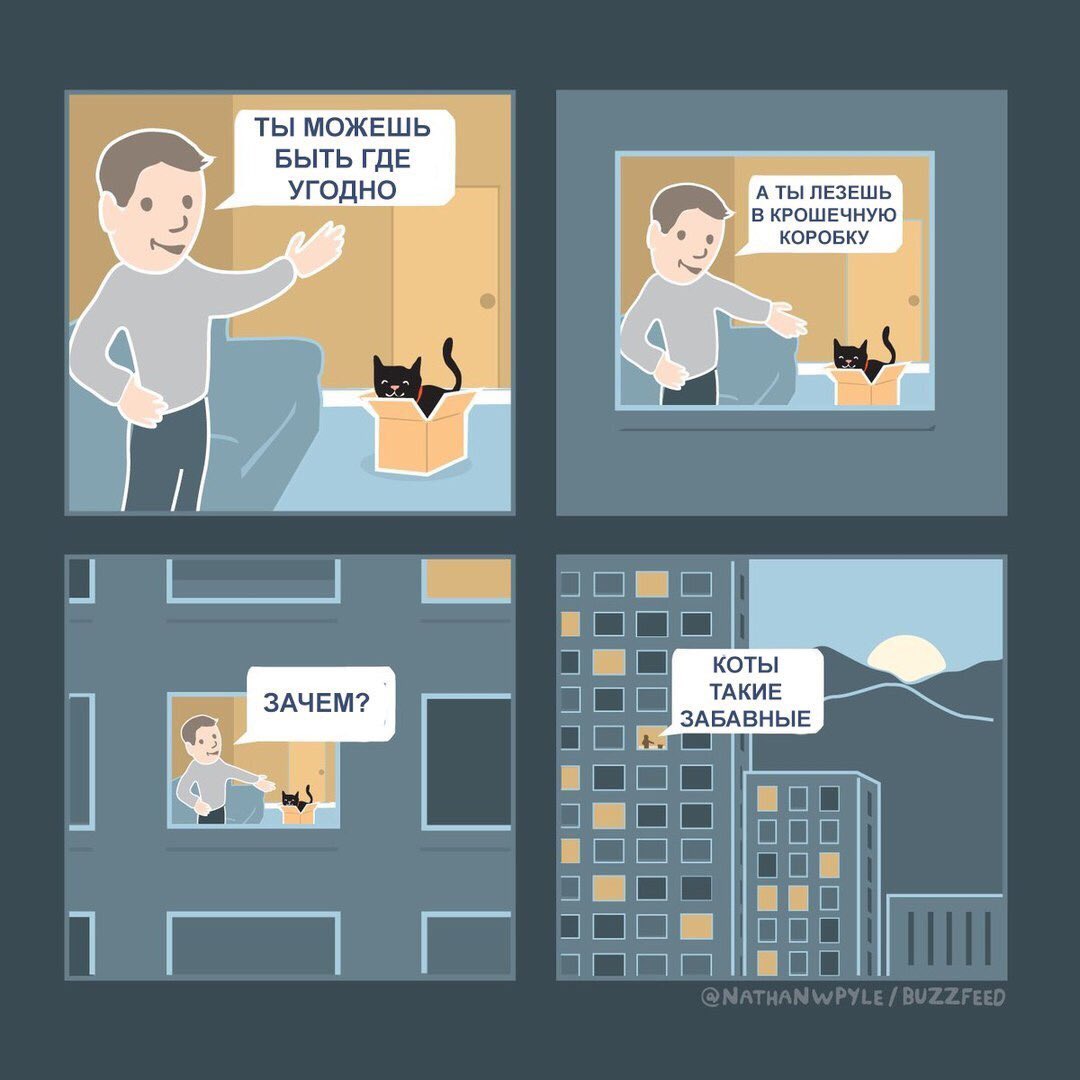 1080x1080, 91 Kb / Кот, коробка