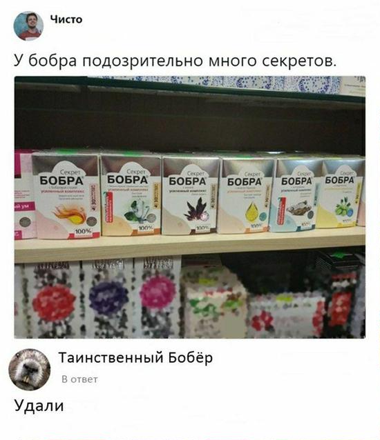 550x638, 47 Kb / бобер, секрет, таинственный