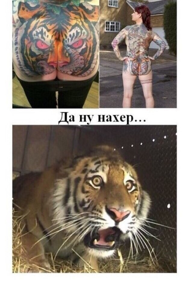 631x955, 111 Kb / тигр, тату, жопа