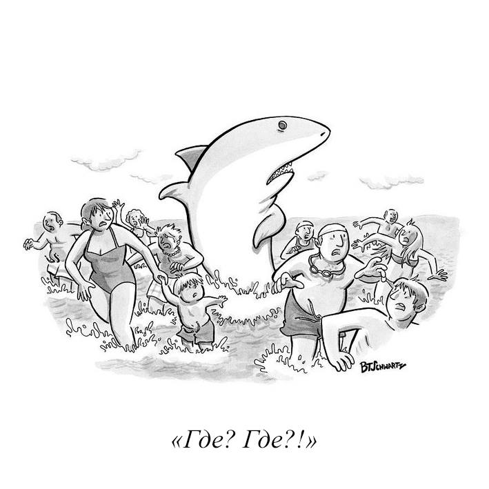 709x709, 49 Kb / акула, пляж, ньюйоркер