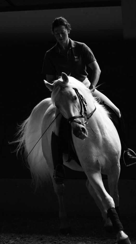 564x1012, 46 Kb / лошадь, ч/б, жокей