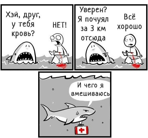 566x528, 63 Kb / кровь, акула, аптечка