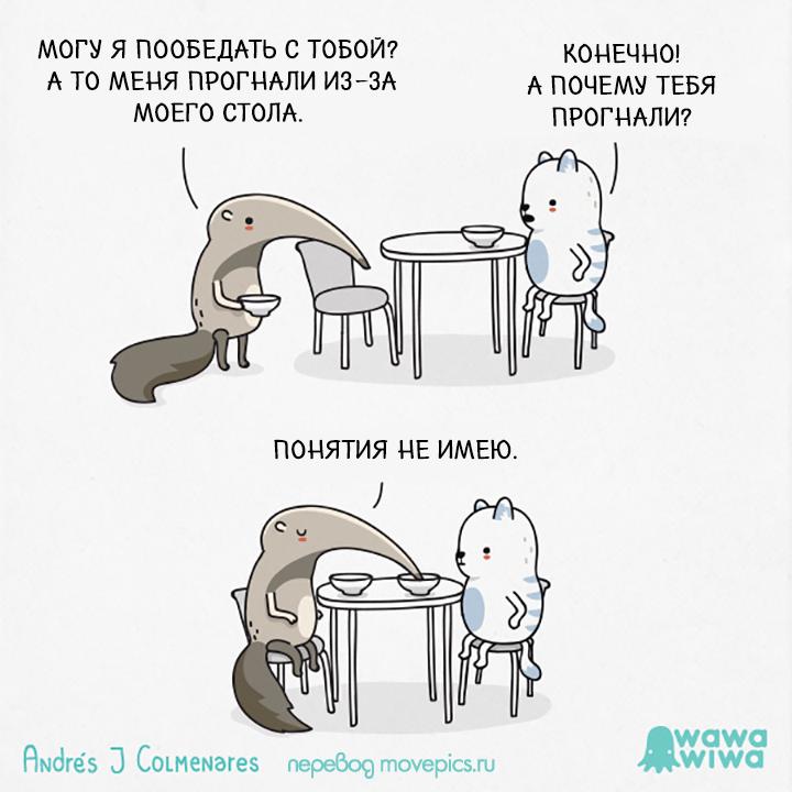 720x720, 48 Kb / обед, муравьед, кот