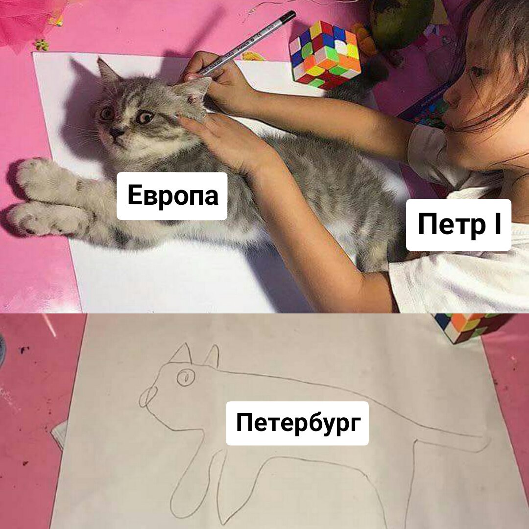 1080x1080, 164 Kb / европа, петербург, петр, кот