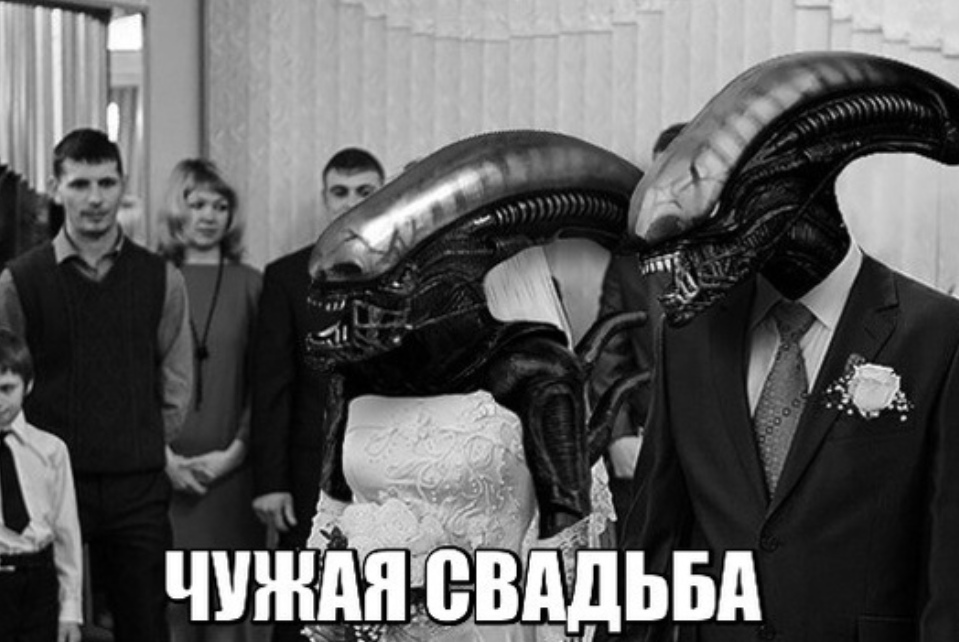 959x642, 159 Kb / Чужой, Alien,  ксеноморф, свадьба