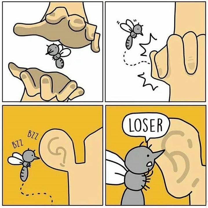 718x718, 77 Kb / комар