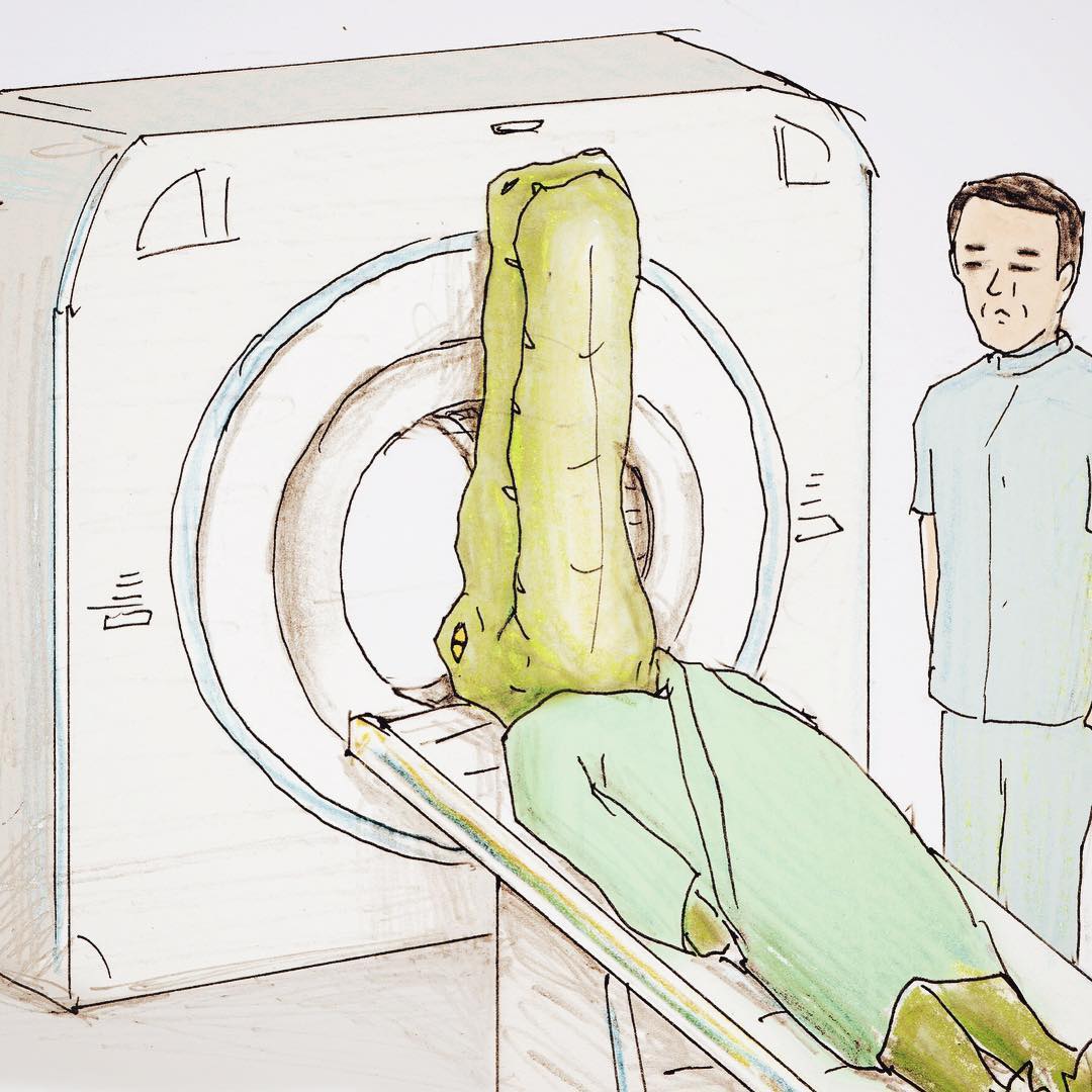 1080x1080, 130 Kb / Крокодил, томограф