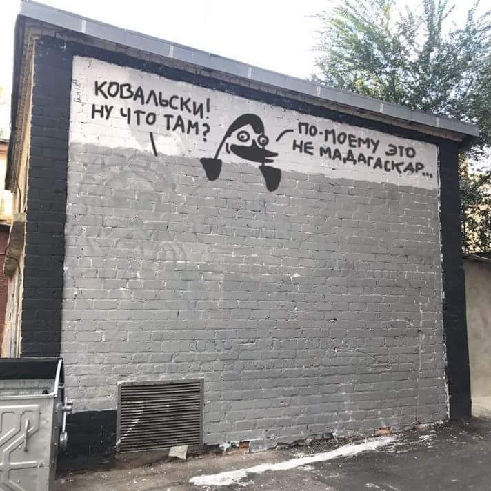 712x712, 67 Kb / Ковальски, Мадагаскар, стена, граффити, пингвин