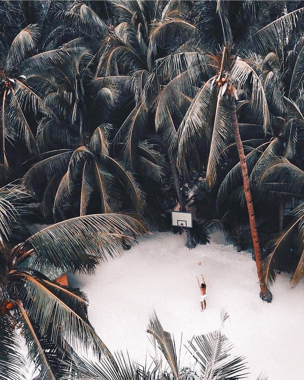 1000x1248, 349 Kb / пальмы, песок, баскетбол, мяч, щит, сверху