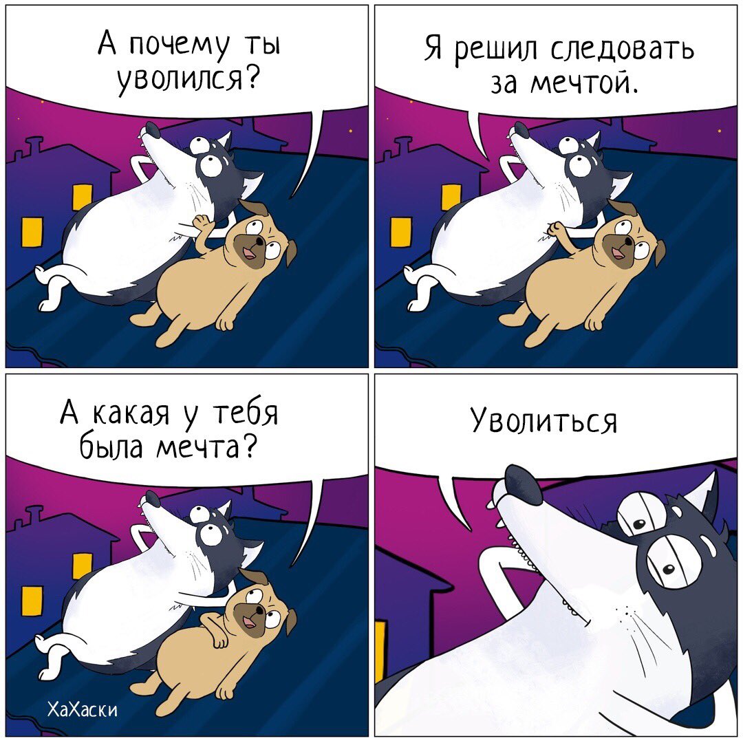 1080x1080, 165 Kb / Мечта, собаки, хахаски, увольнение