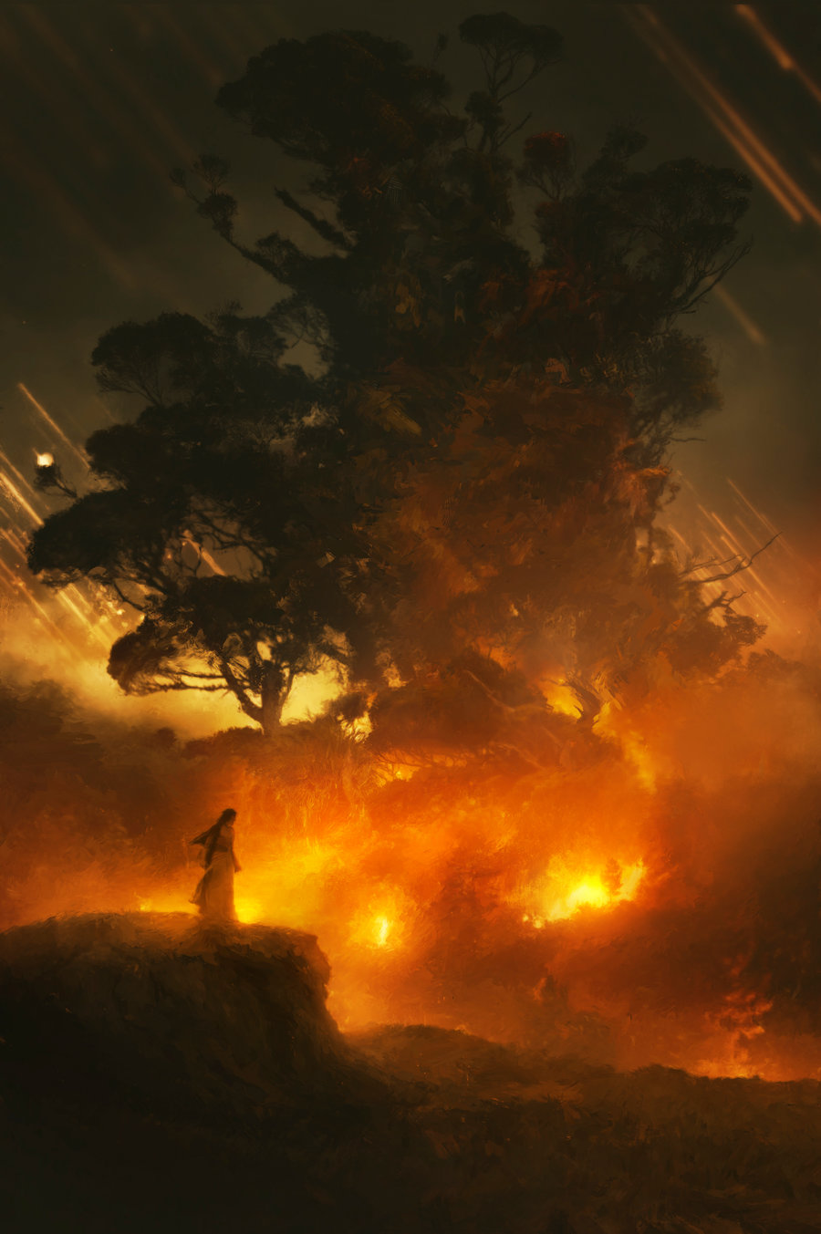 900x1353, 160 Kb / tavenerscholar, лес, фигура, огонь, утёс, метеориты