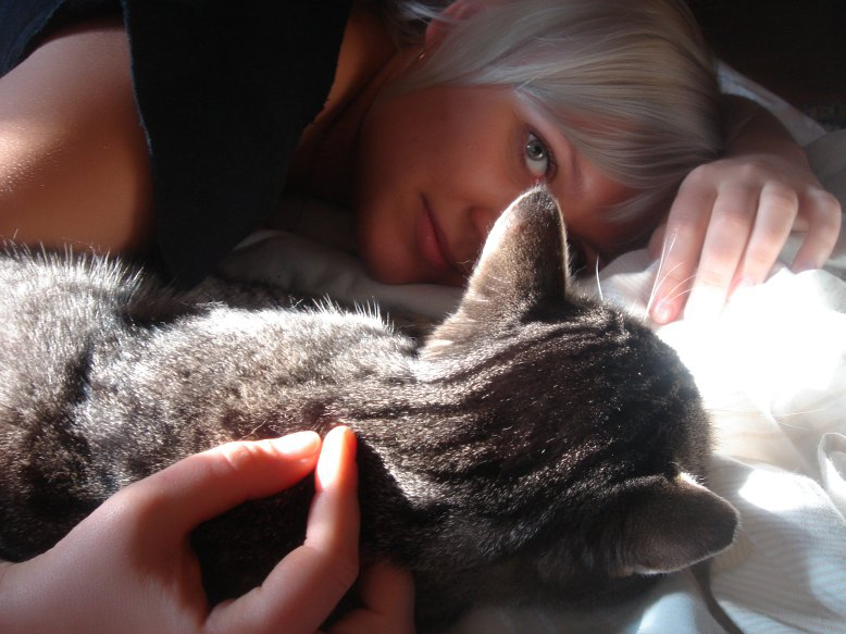 778x583, 207 Kb / кот, сон