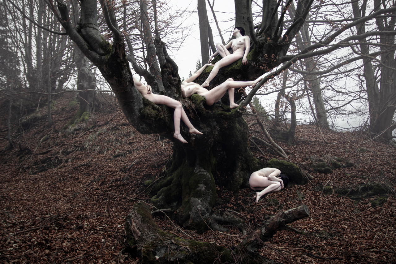 1280x853, 550 Kb / лес, деревья, женщины