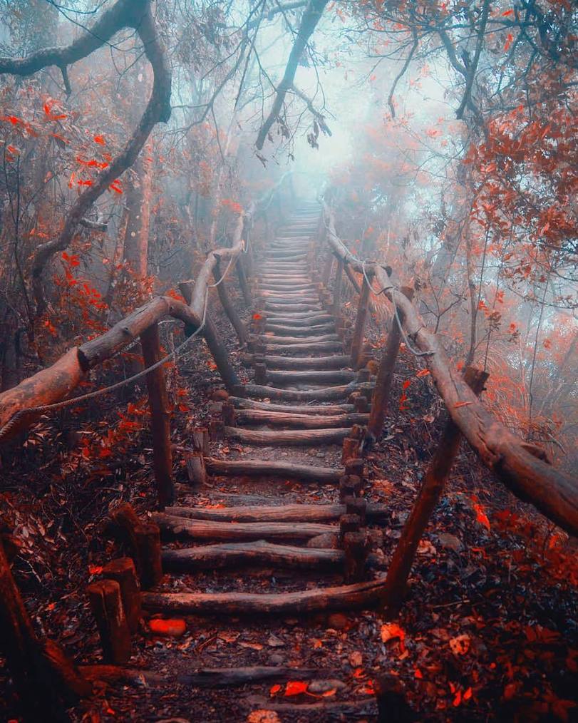 811x1014, 153 Kb / осень, лестница, туман