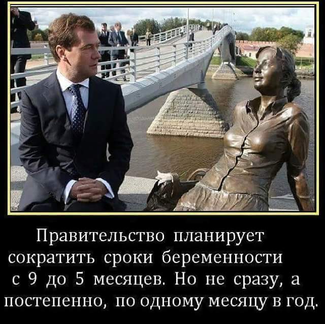 640x638, 60 Kb / Медведев, правительство, памятник, беременность, сокращение, скульптура, мост