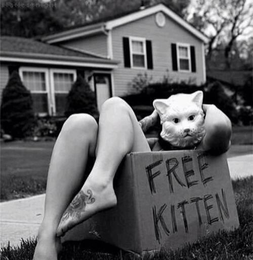 500x513, 48 Kb / девка, маска, дом, коробка, маска, кошка, ч/б