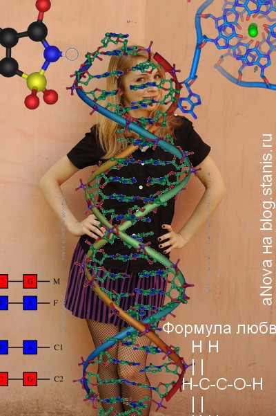 400x601, 85 Kb / anova