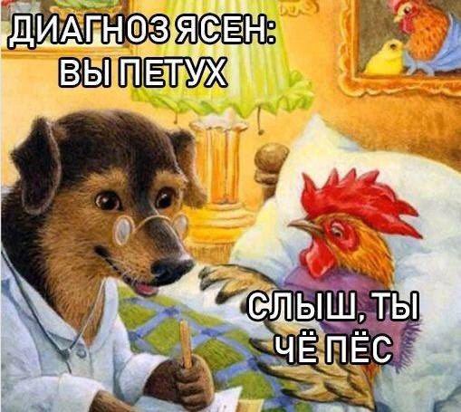509x455, 55 Kb / Пёс, петух, диагноз, врач