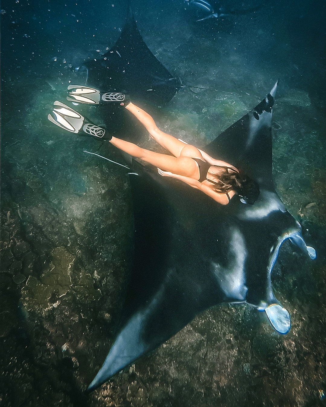 1080x1350, 511 Kb / скат, дайвер, ласты, попа, под водой, манта