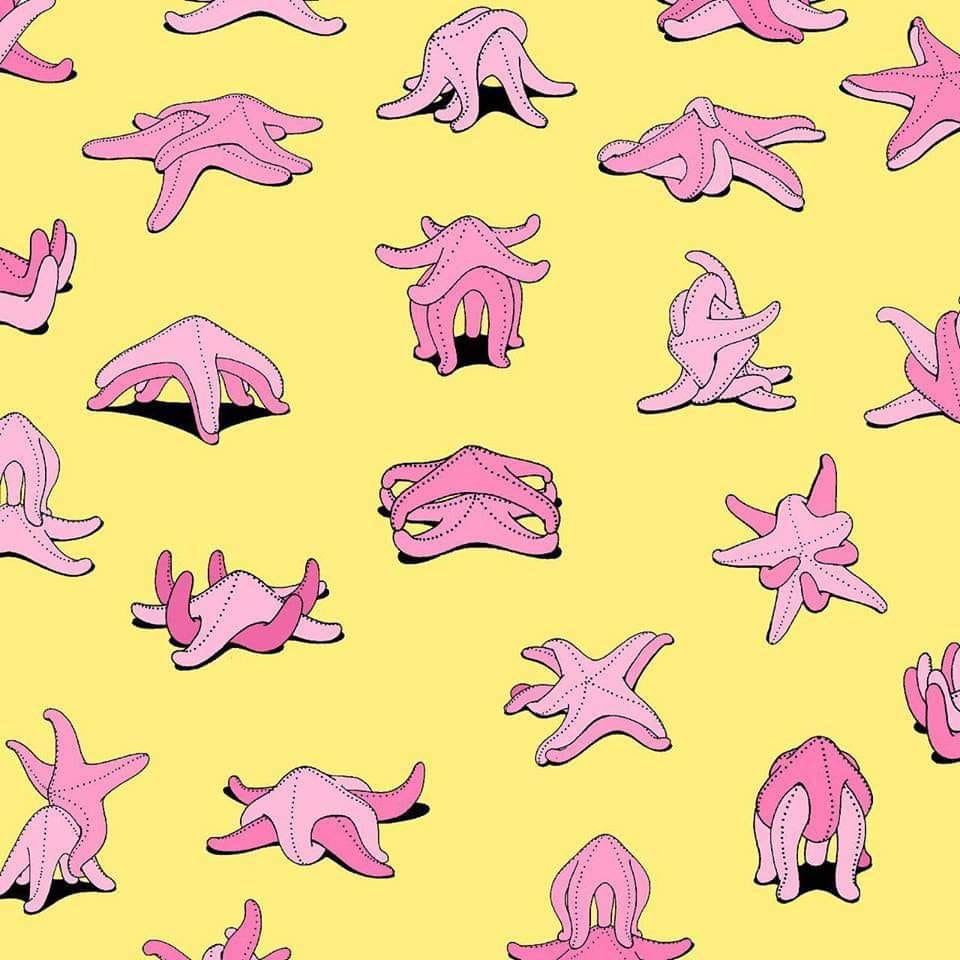 960x960, 98 Kb / звёзды, морская