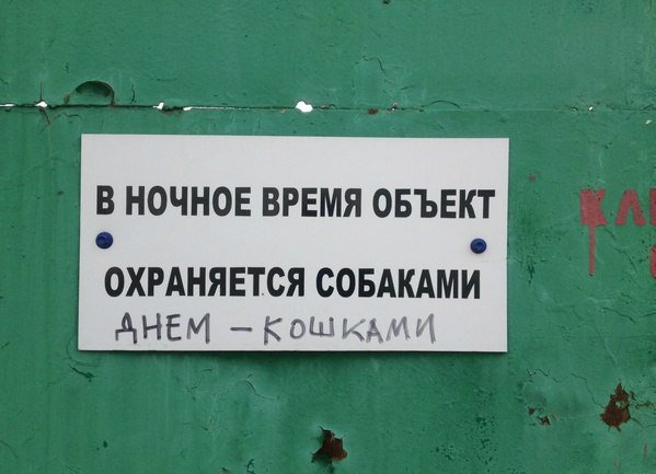 599x433, 41 Kb / Охрана, собаки, коты, день, ночь