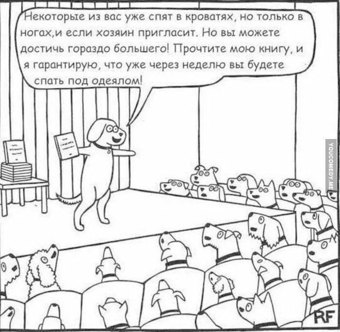 700x683, 88 Kb / Собаки, постель, лекция, книга, коучинг, презентация